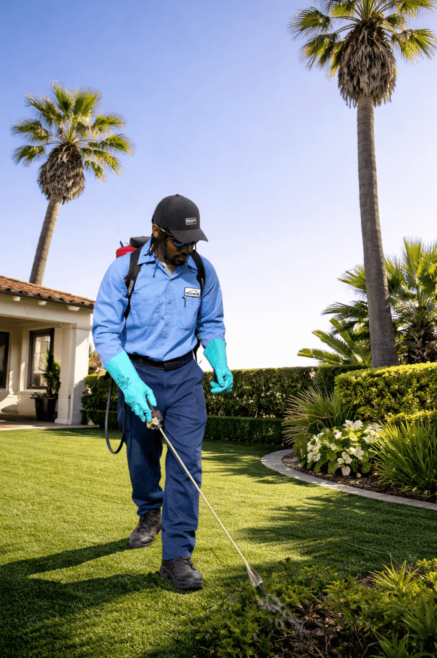 Why San Diego's Climate Makes Pest Control a Year-Round Job